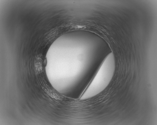 X0000079321442200611170918