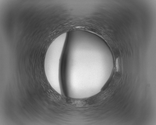 X0000079321443200611170918