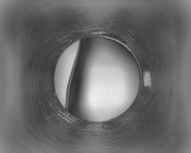 X0000079321444200611170918