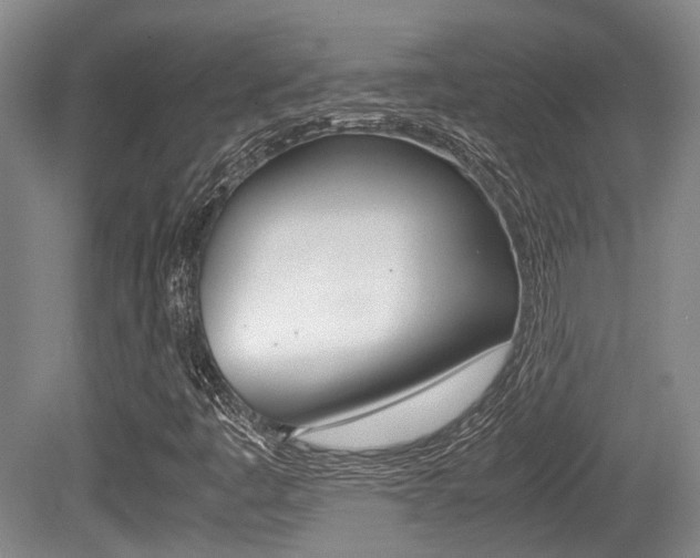 X0000079321445200611170918