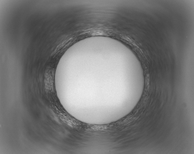 X0000079321446200611170918
