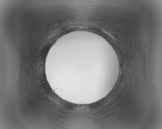 X0000079321447200611170918