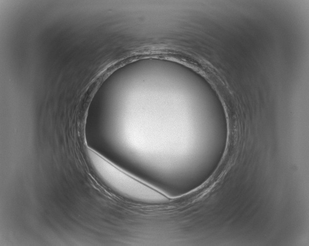 X0000079321449200611170918