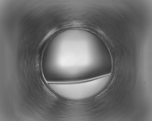 X0000079321450200611170918