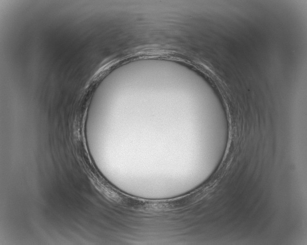 X0000079321451200611170918