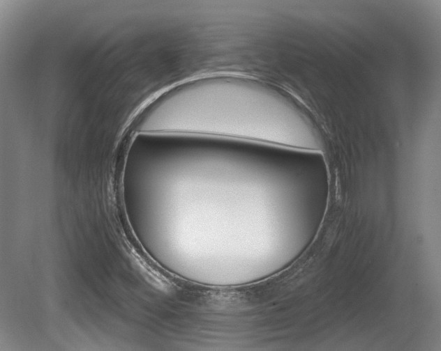 X0000079321452200611170918