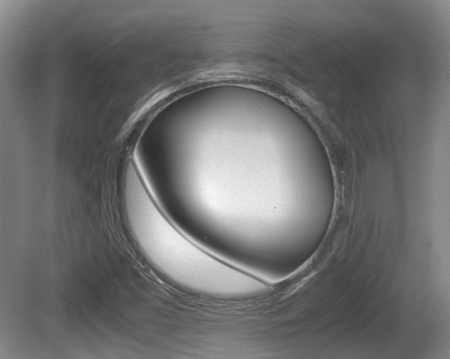 X0000079321453200611170918
