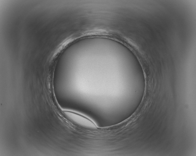 X0000079321455200611170918