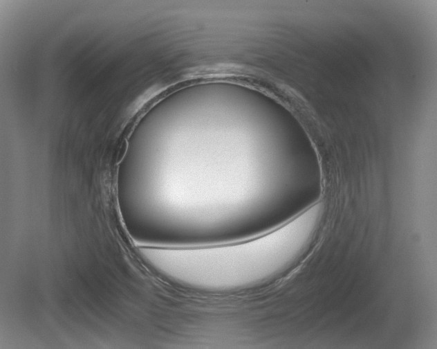 X0000079321457200611170918