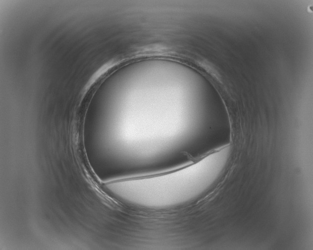X0000079321458200611170918