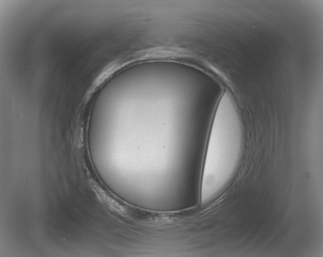 X0000079321459200611170918
