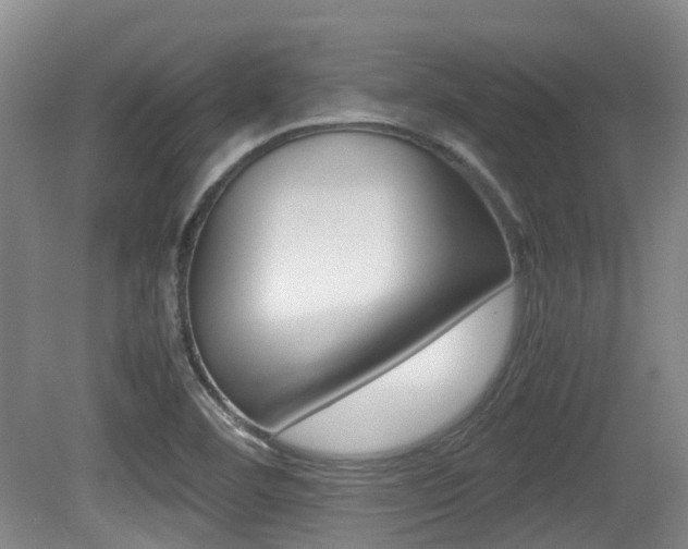 X0000079321460200611170918