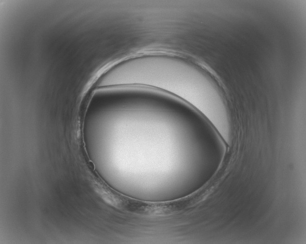 X0000079321461200611170918