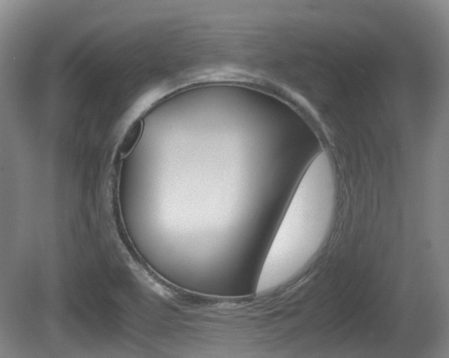 X0000079321463200611170918