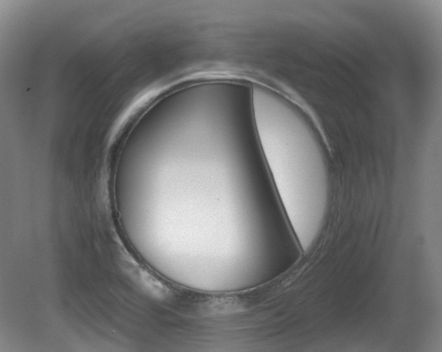 X0000079321464200611170918
