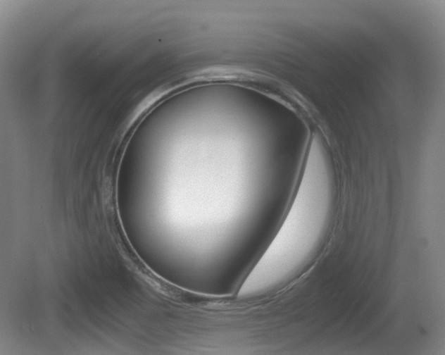 X0000079321465200611170918