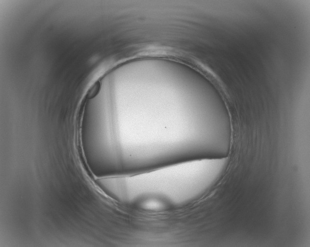 X0000079321467200611170918