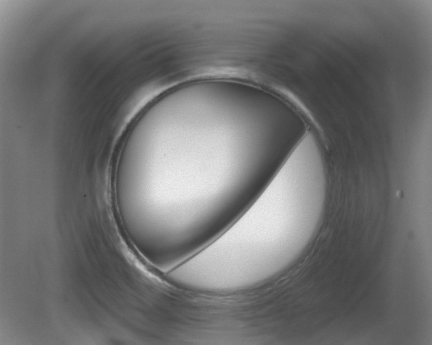 X0000079321468200611170918