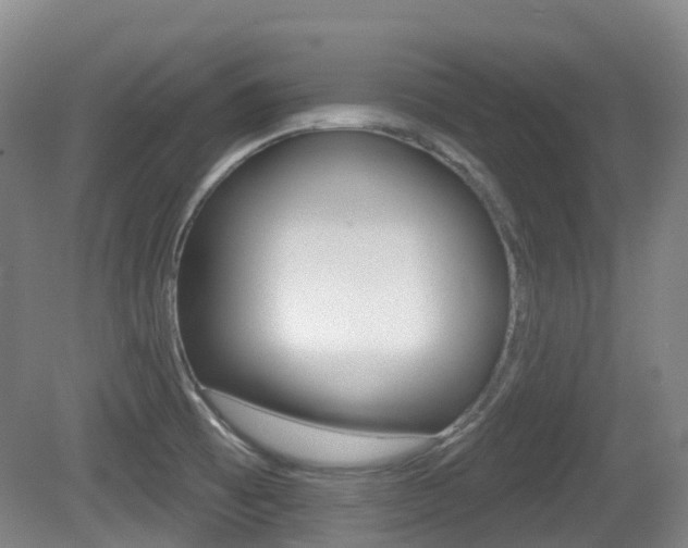 X0000079321473200611170918