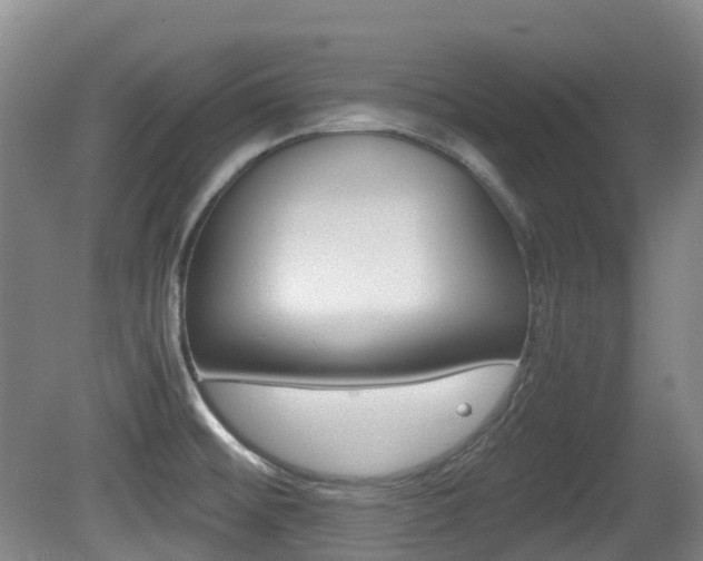 X0000079321476200611170918