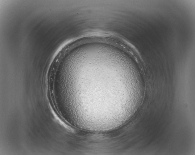 X0000079321479200611170918