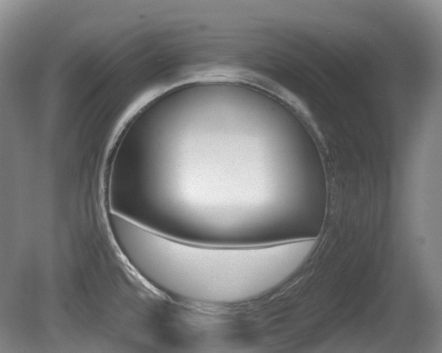 X0000079321480200611170917