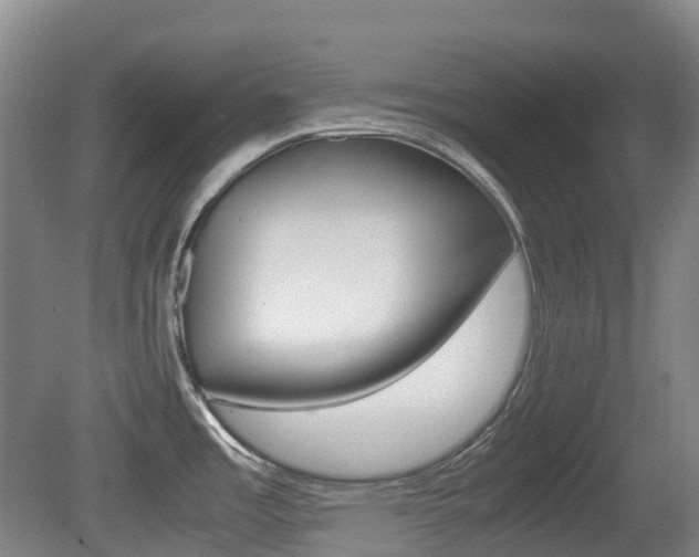 X0000079321485200611170917