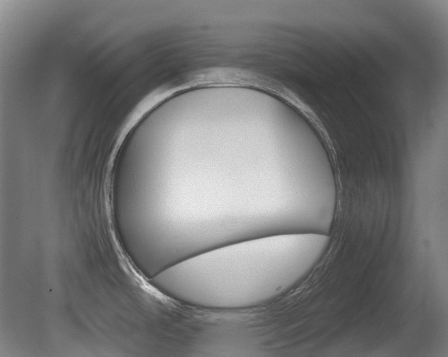 X0000079321486200611170917