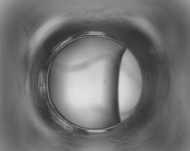 X0000079321487200611170917