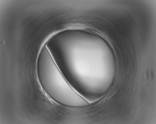 X0000079321488200611170917