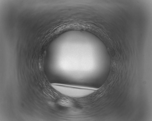 X0000079321490200611170917