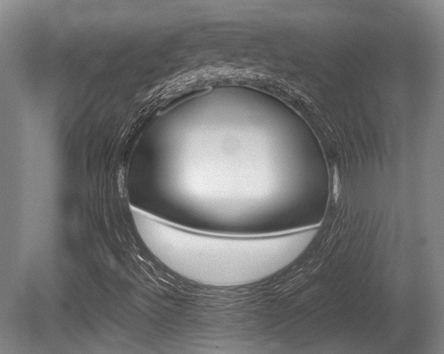 X0000079321492200611170917