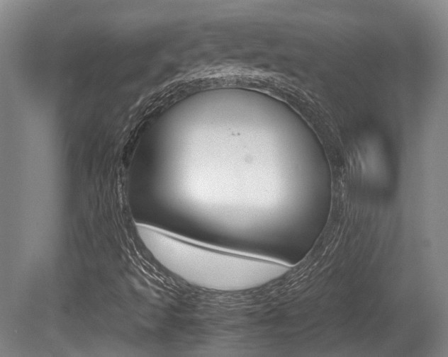 X0000079321493200611170917