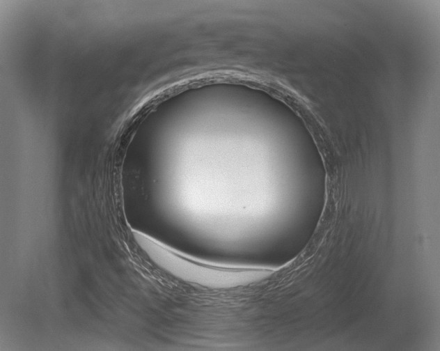X0000079321496200611170917