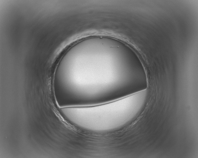 X0000079321503200611170917