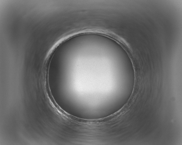X0000079321504200611170917
