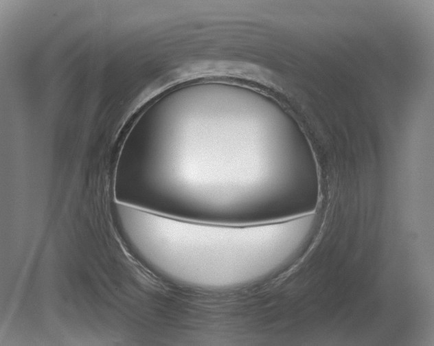 X0000079321505200611170917