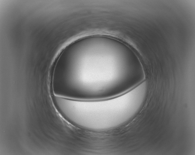 X0000079321508200611170917