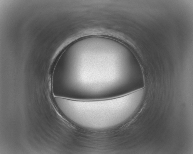 X0000079321509200611170917