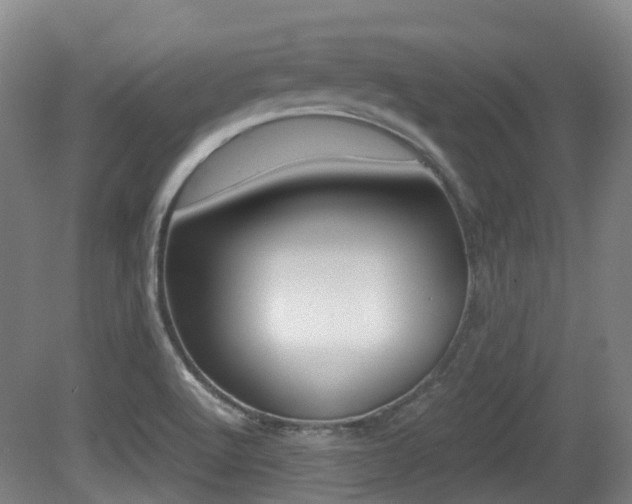 X0000079321512200611170917