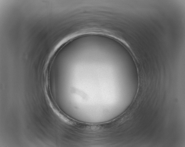 X0000079321515200611170917