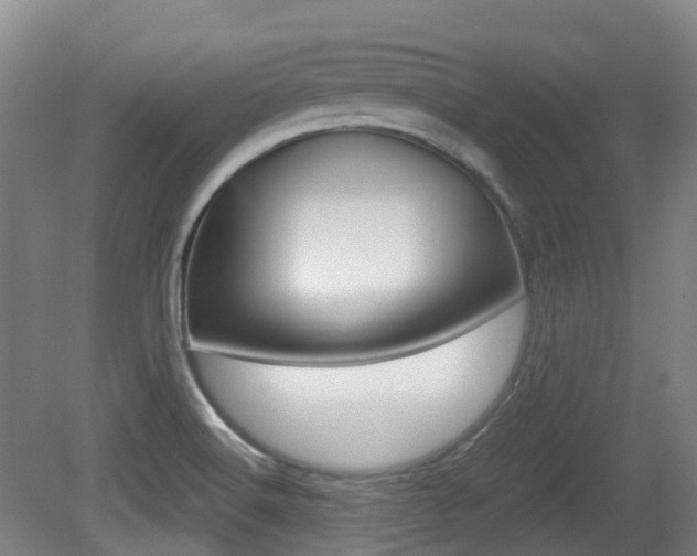 X0000079321516200611170917
