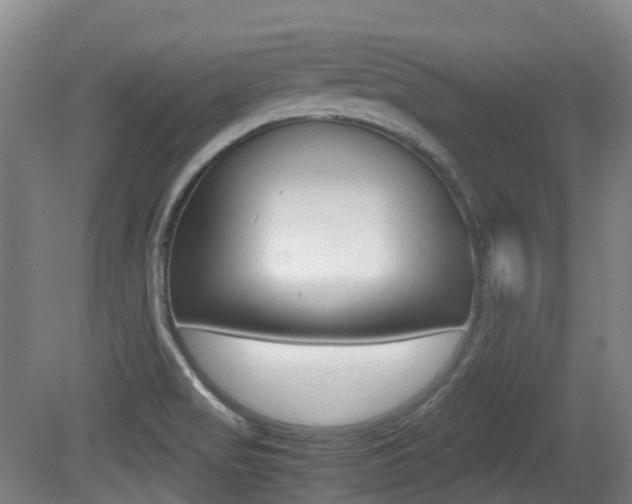X0000079321517200611170917