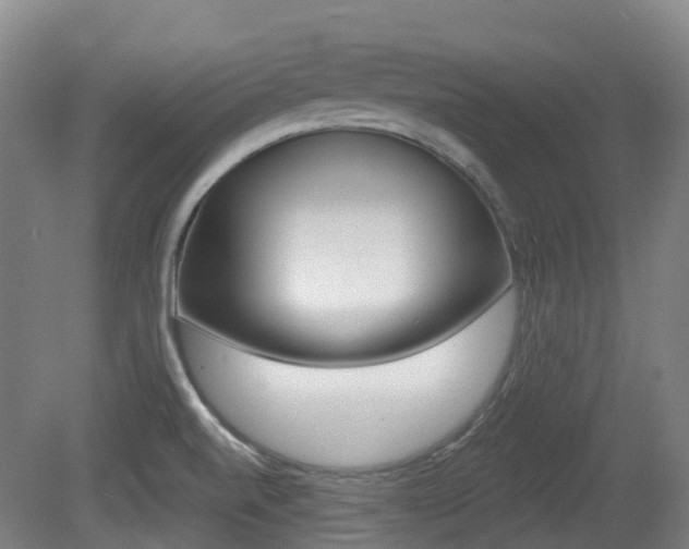 X0000079321520200611170917