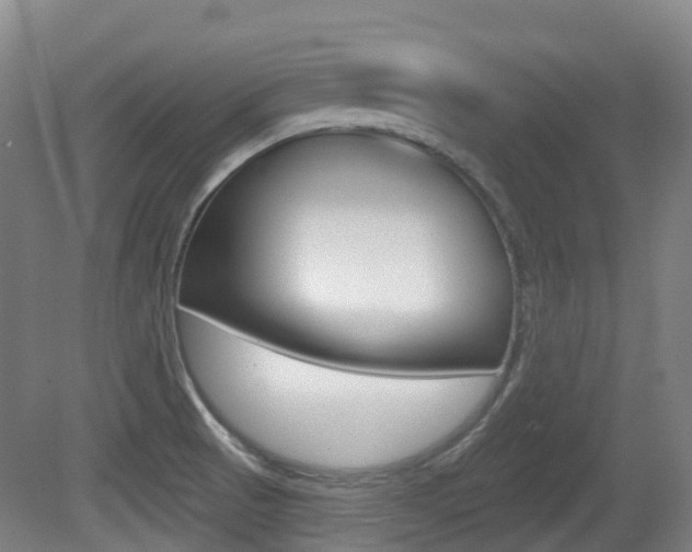 X0000079321521200611170917