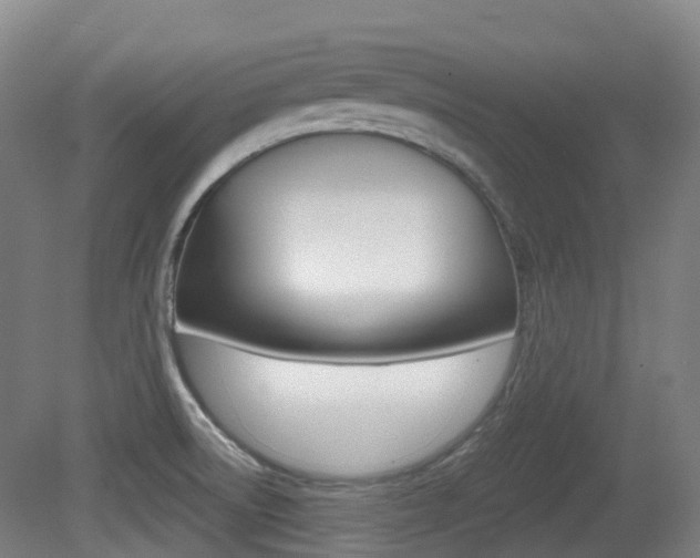 X0000079321522200611170917