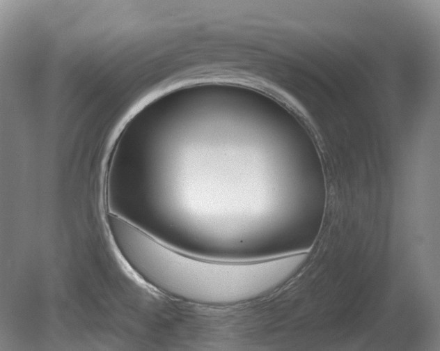 X0000079321528200611170917