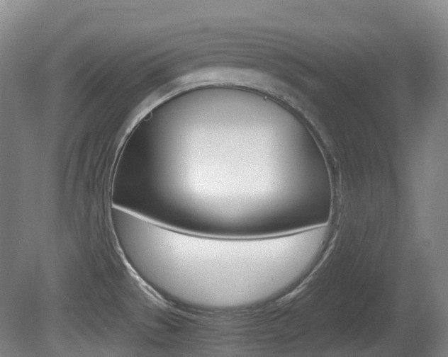 X0000079321529200611170917
