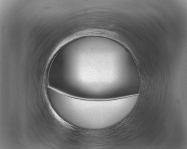 X0000079321531200611170917