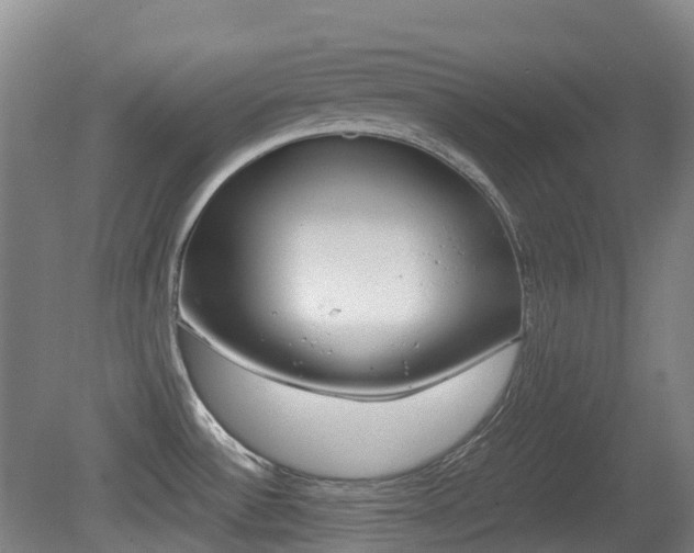 X0000079321532200611170917